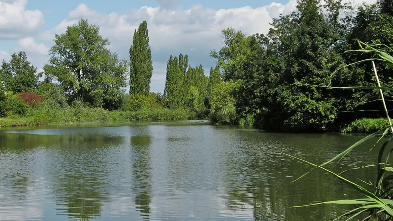 Holásecká jezera: bahno, rybáři a 276 milionů na nový začátek